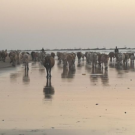Kasa Boubak Avec Cuisine Exterieure A 50 M De La Plage Kafountine Εξωτερικό φωτογραφία